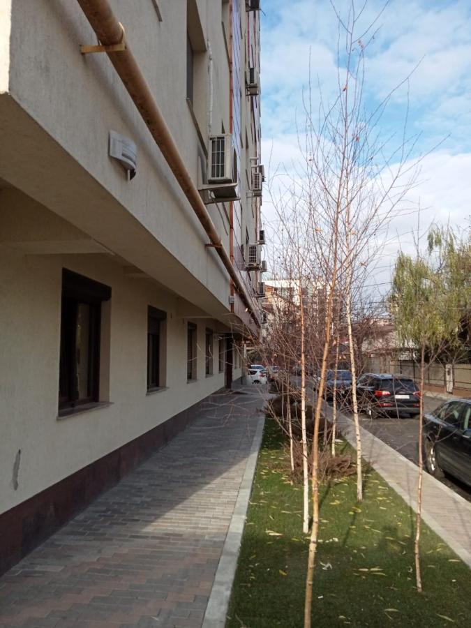 Palas View Apartments Near Palas Mall Iasi Exteriör bild